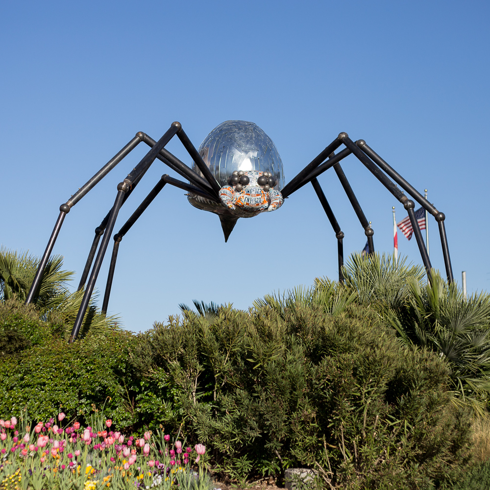 Giant Spider - 2018