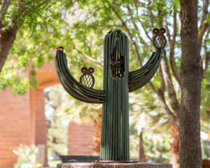 10 Owl Saguaro by Logan Clark 2025