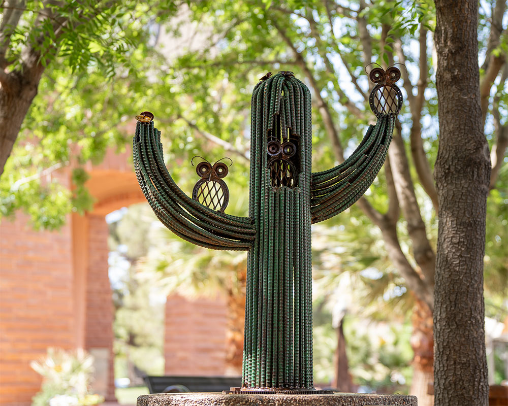 10 Owl Saguaro by Logan Clark 2025