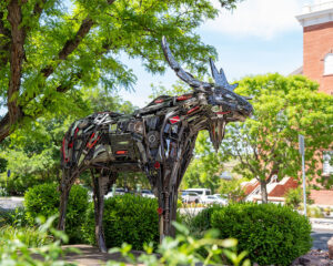 25 Humphrey by Bradley Anderson 2025