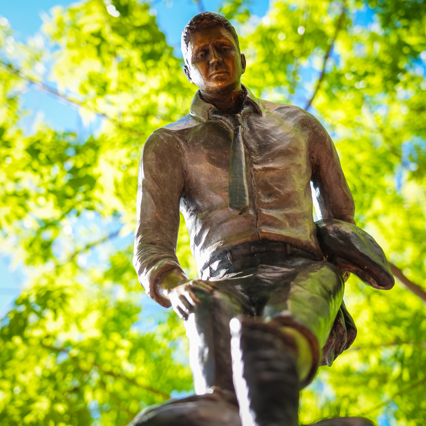 Self Reflection - Depths